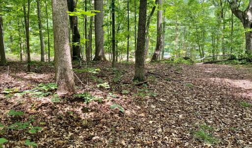 Photo #7 of SOLD property in 0 Lynchburg Salem Turnpike East, Forest, VA 4.2 acres