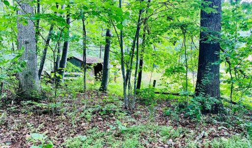 Photo #12 of SOLD property in 0 Lynchburg Salem Turnpike East, Forest, VA 4.2 acres