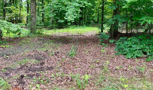 Photo #4 of SOLD property in 0 Lynchburg Salem Turnpike East, Forest, VA 4.2 acres