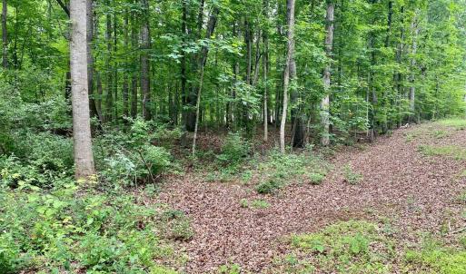 Photo #18 of SOLD property in 0 Lynchburg Salem Turnpike East, Forest, VA 4.2 acres