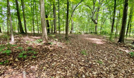 Photo #1 of SOLD property in 0 Lynchburg Salem Turnpike East, Forest, VA 4.2 acres