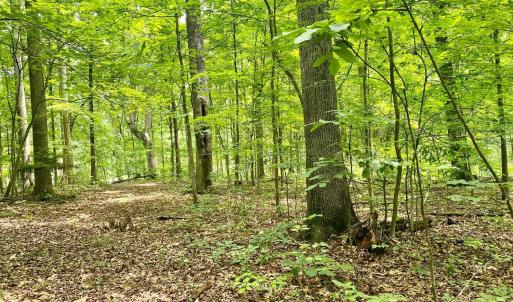 Photo #16 of SOLD property in 0 Lynchburg Salem Turnpike East, Forest, VA 4.2 acres