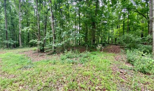 Photo #17 of SOLD property in 0 Lynchburg Salem Turnpike East, Forest, VA 4.2 acres