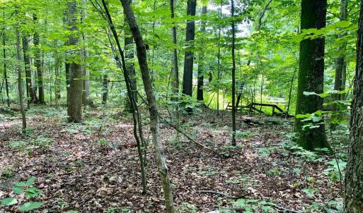 Photo #15 of SOLD property in 0 Lynchburg Salem Turnpike East, Forest, VA 4.2 acres