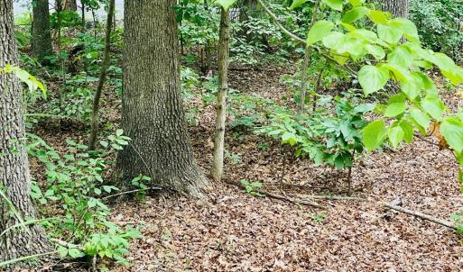 Photo #8 of SOLD property in 0 Lynchburg Salem Turnpike East, Forest, VA 4.2 acres