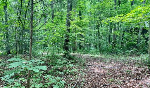Photo #14 of SOLD property in 0 Lynchburg Salem Turnpike East, Forest, VA 4.2 acres