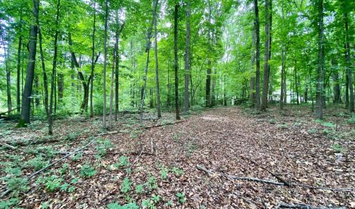 Photo #2 of SOLD property in 0 Lynchburg Salem Turnpike East, Forest, VA 4.2 acres