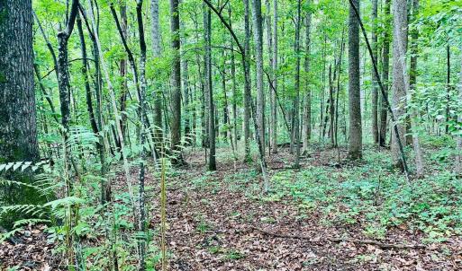 Photo #11 of SOLD property in 0 Lynchburg Salem Turnpike East, Forest, VA 4.2 acres