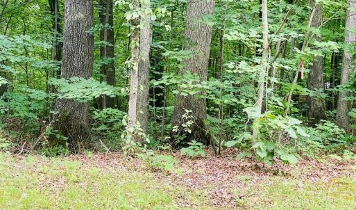 Photo #9 of SOLD property in 0 Lynchburg Salem Turnpike East, Forest, VA 4.2 acres