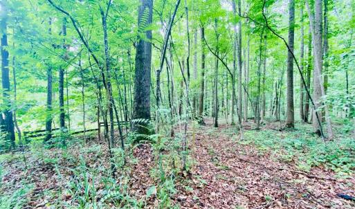 Photo #3 of SOLD property in 0 Lynchburg Salem Turnpike East, Forest, VA 4.2 acres