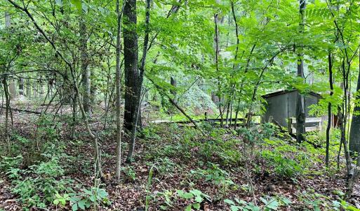 Photo #13 of SOLD property in 0 Lynchburg Salem Turnpike East, Forest, VA 4.2 acres