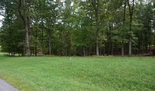 Photo #12 of 0 Eyrie View Drive, Lynchburg, VA 2.2 acres