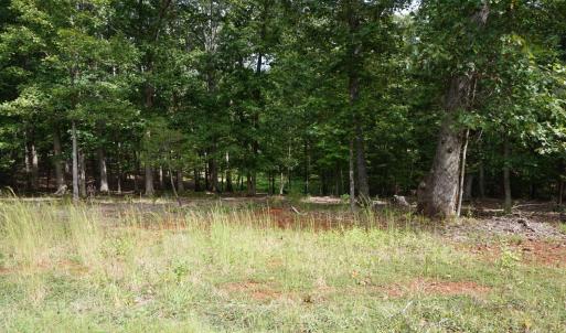Photo #27 of 0 Eyrie View Drive, Lynchburg, VA 2.2 acres
