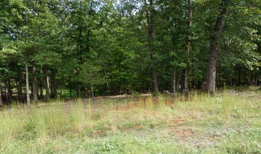Photo #25 of 0 Eyrie View Drive, Lynchburg, VA 2.2 acres