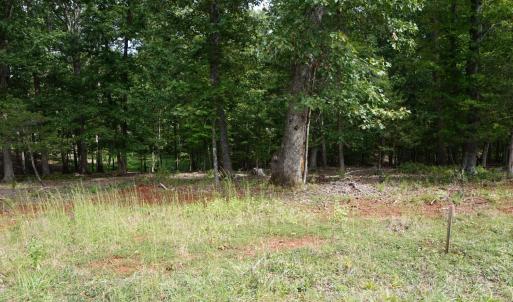 Photo #28 of 0 Eyrie View Drive, Lynchburg, VA 2.2 acres