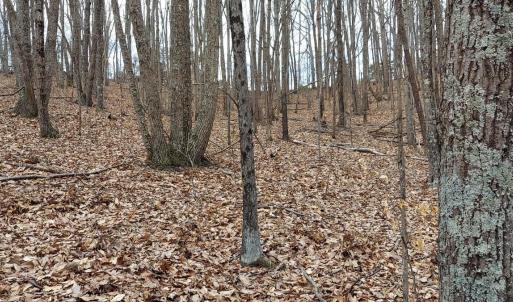Photo #1 of Camellia Lane, Hurt, VA 5.8 acres