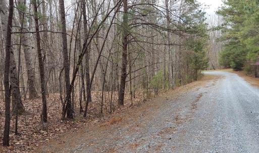 Photo #4 of Camellia Lane, Hurt, VA 5.8 acres