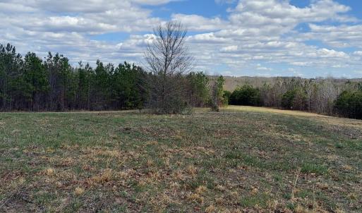 Photo #4 of Hunter Road, Brookneal, VA 5.3 acres