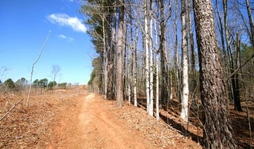 Photo #19 of SOLD property in 0 Grandmas Hill Road, Amherst, VA 105.0 acres