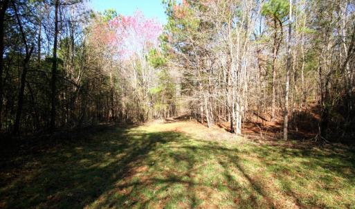 Photo #16 of SOLD property in 0 Grandmas Hill Road, Amherst, VA 105.0 acres