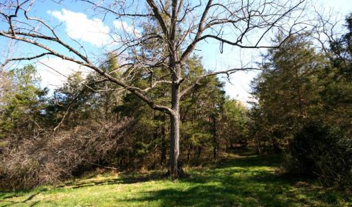 Photo #7 of SOLD property in 0 Grandmas Hill Road, Amherst, VA 105.0 acres