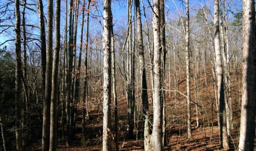 Photo #17 of SOLD property in 0 Grandmas Hill Road, Amherst, VA 105.0 acres