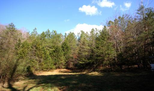 Photo #6 of SOLD property in 0 Grandmas Hill Road, Amherst, VA 105.0 acres