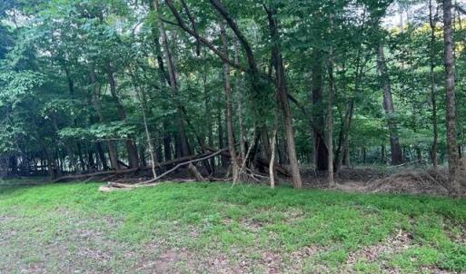 Photo #4 of SOLD property in 0 Lot 52 & 53 Meadow Point Drive, Moneta, VA 0.9 acres