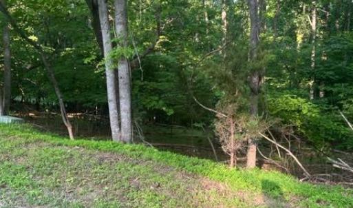 Photo #5 of SOLD property in 0 Lot 52 & 53 Meadow Point Drive, Moneta, VA 0.9 acres