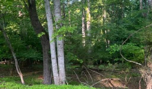 Photo #6 of SOLD property in 0 Lot 52 & 53 Meadow Point Drive, Moneta, VA 0.9 acres