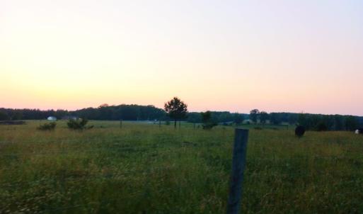 Photo #1 of Lot 18 Brookneal Highway, Gladys, VA 1.1 acres