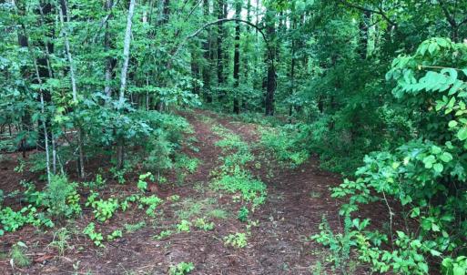 Photo #10 of SOLD property in 717 Union Hill Road, Amherst, VA 5.2 acres