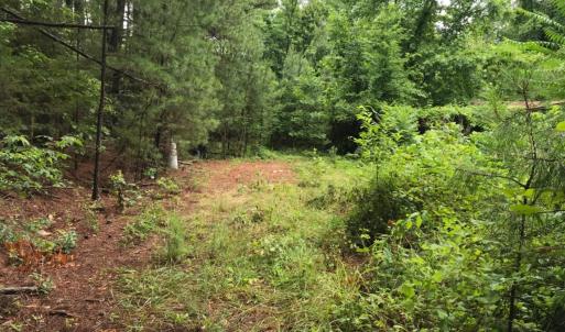 Photo #5 of SOLD property in 717 Union Hill Road, Amherst, VA 5.2 acres