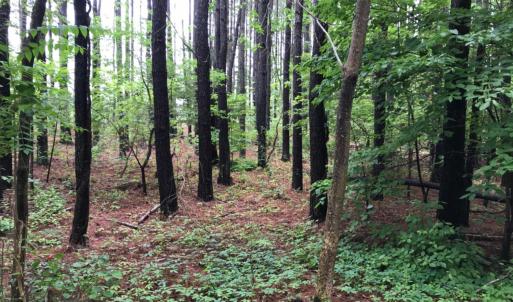 Photo #8 of SOLD property in 717 Union Hill Road, Amherst, VA 5.2 acres