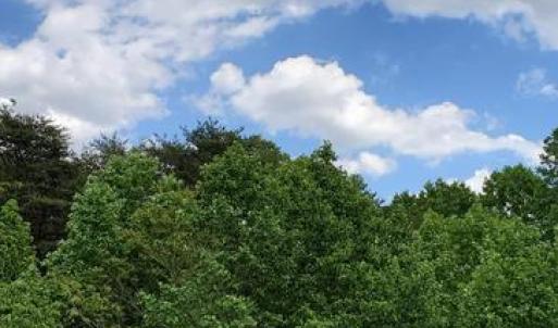 Photo #1 of JEFFERSON DAVIS HWY, SPOTSYLVANIA, VA 3.1 acres