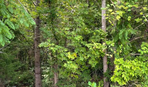 Photo #4 of Crestview Lane, Gretna, VA 1.5 acres