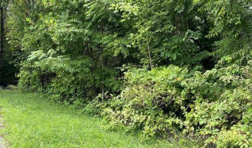 Photo #5 of Crestview Lane, Gretna, VA 1.5 acres