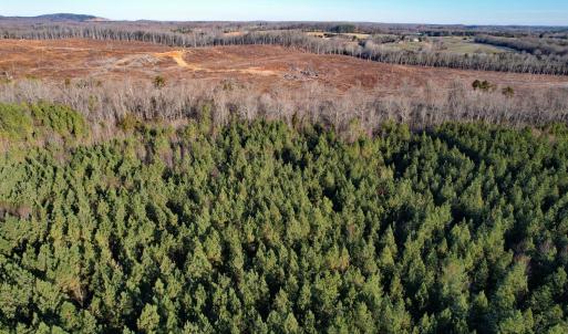 Photo #4 of Plank Road, Dillwyn, VA 30.3 acres
