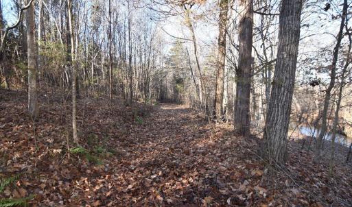 Photo #16 of Plank Road, Dillwyn, VA 30.3 acres