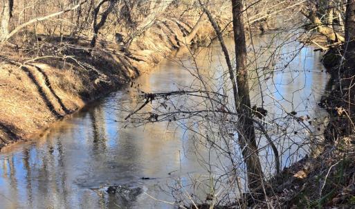 Photo #15 of Plank Road, Dillwyn, VA 30.3 acres