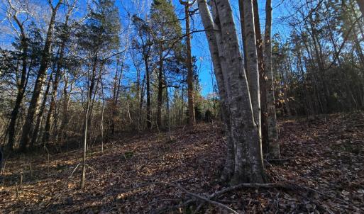 Photo #21 of Plank Road, Dillwyn, VA 30.3 acres