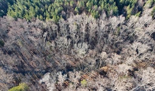 Photo #9 of Plank Road, Dillwyn, VA 30.3 acres