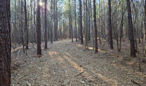 Photo #19 of Plank Road, Dillwyn, VA 30.3 acres