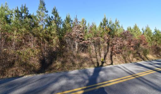 Photo #26 of Plank Road, Dillwyn, VA 30.3 acres