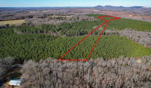 Photo #1 of Plank Road, Dillwyn, VA 30.3 acres