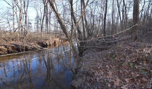 Photo #2 of Plank Road, Dillwyn, VA 30.3 acres