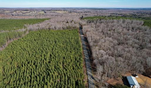 Photo #25 of Plank Road, Dillwyn, VA 30.3 acres