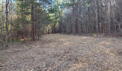 Photo #20 of Plank Road, Dillwyn, VA 30.3 acres
