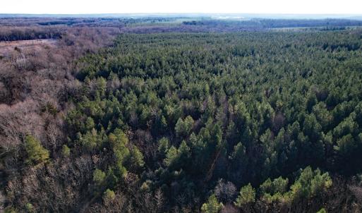 Photo #6 of Plank Road, Dillwyn, VA 30.3 acres