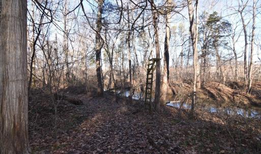 Photo #17 of Plank Road, Dillwyn, VA 30.3 acres
